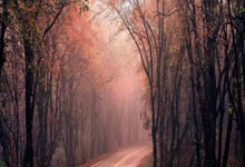 蜂鸟电竞官网：[国际足球]阿根廷大胜巴西 “团队足球的伟大胜利”.