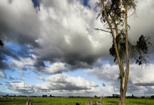 欧联杯曼联大胜皇家社会晋级八强，B费帽子戏法成第一功臣.