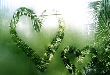 蜂鸟电竞官网:土媒:费内巴切想签埃德森和DV9,B计划是斯维拉尔和希克.