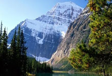 蜂鸟电竞官网：土媒：费内巴切想签埃德森和DV9，B计划是斯维拉尔和希克.