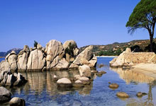 蜂鸟电竞官网：PSG信心满满欧冠争翻盘 红军步步为营.